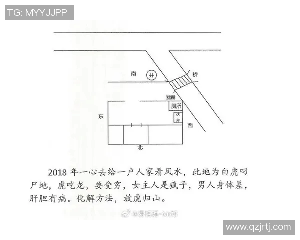 勇往直前：林敢不惧风水，直冲争强的桥梁